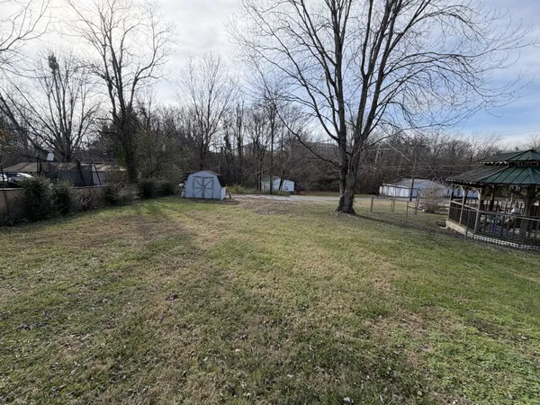 a view of a backyard with large trees