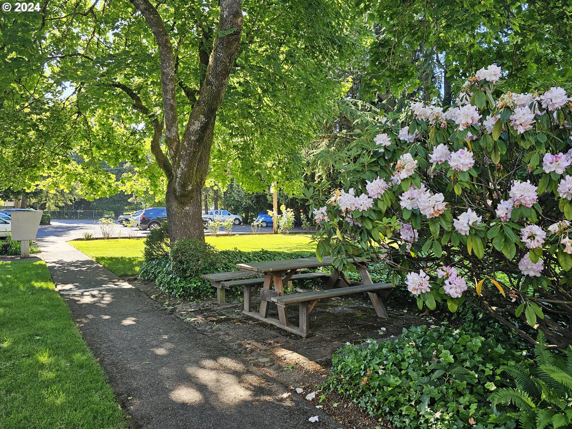 599 Coburg Road, Unit 7A Eugene, OR 97401 - Photo 33 of 38 Gallery Image 33