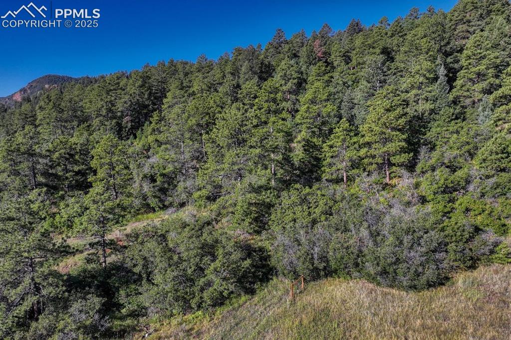 0 Columbine Road Larkspur, CO 80118 - Photo 2 of 37