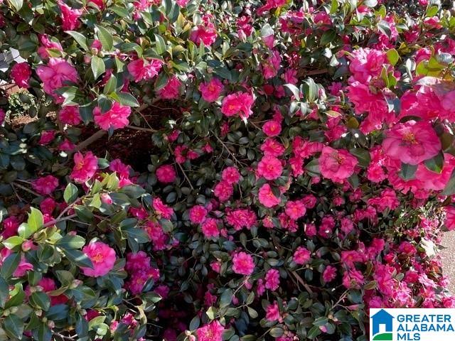 421 North Lake Road Birmingham, AL 35242 - Photo 42 of 48
