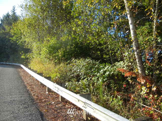 0 Northwest Lyons Road Woodland, WA 98674 - Photo 1 of 4 Gallery Image 1