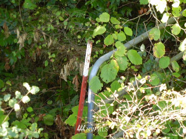 0 Northwest Lyons Road Woodland, WA 98674 - Photo 2 of 4 Gallery Image 2