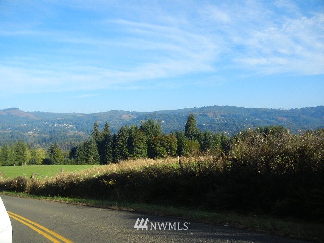 0 Northwest Lyons Road Woodland, WA 98674 - Photo 4 of 4 Gallery Image 4