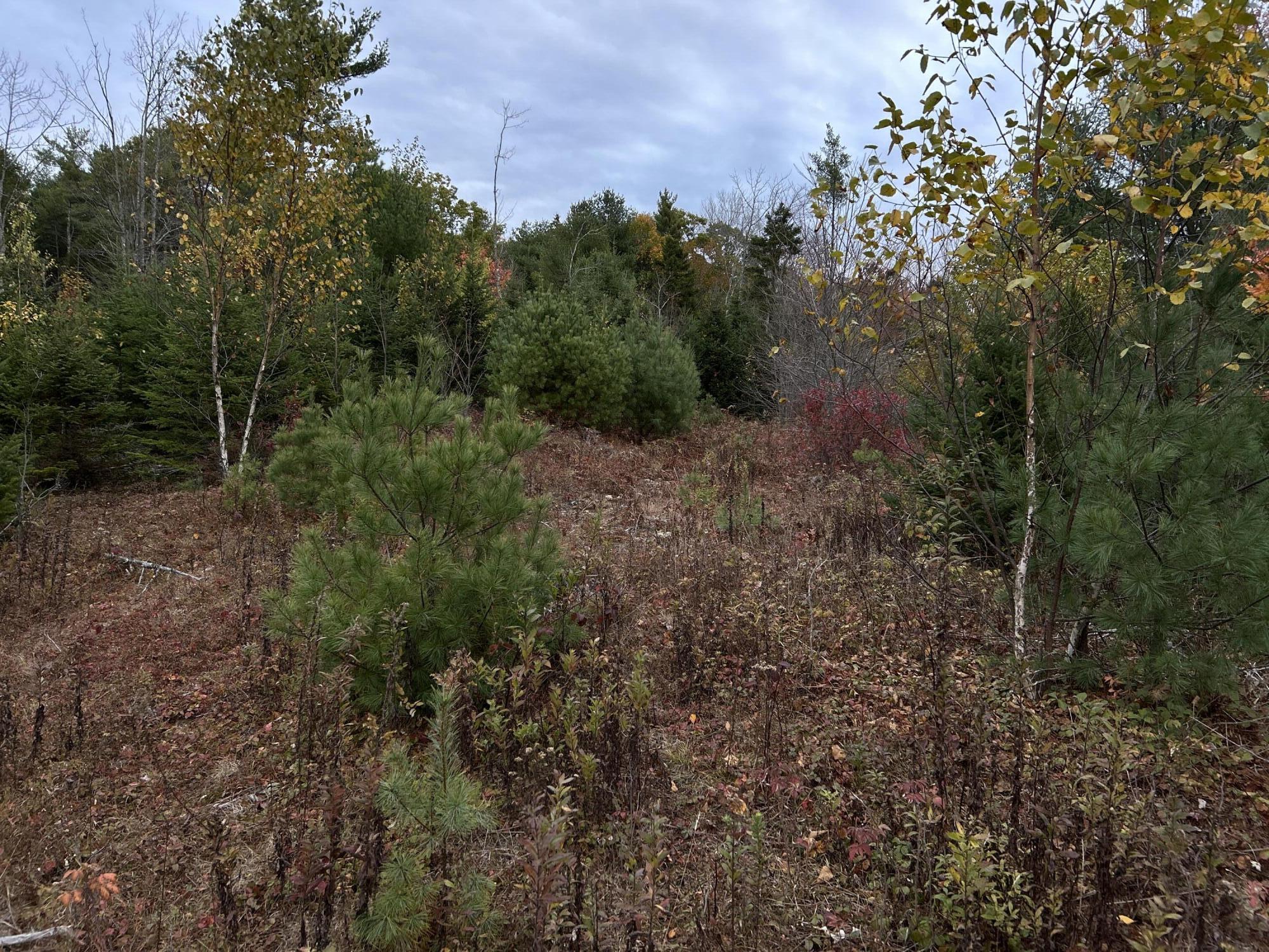 401 Genthner Road Waldoboro, ME 04572 - Photo 19 of 35
