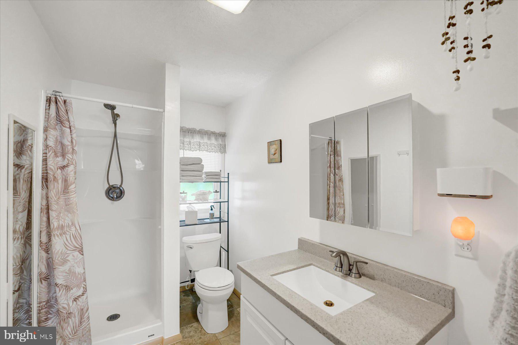4814 West Whitehall Road Pennsylvania Furnace, PA 16865 - Photo 24 of 43 a bathroom with a sink toilet and shower