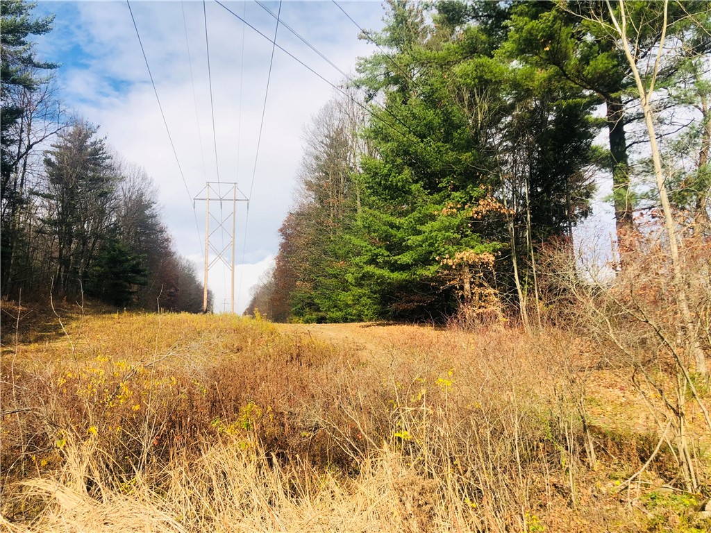 0 Geiger Road Dansville, NY 14437 - Photo 1 of 1 Gallery Image 1