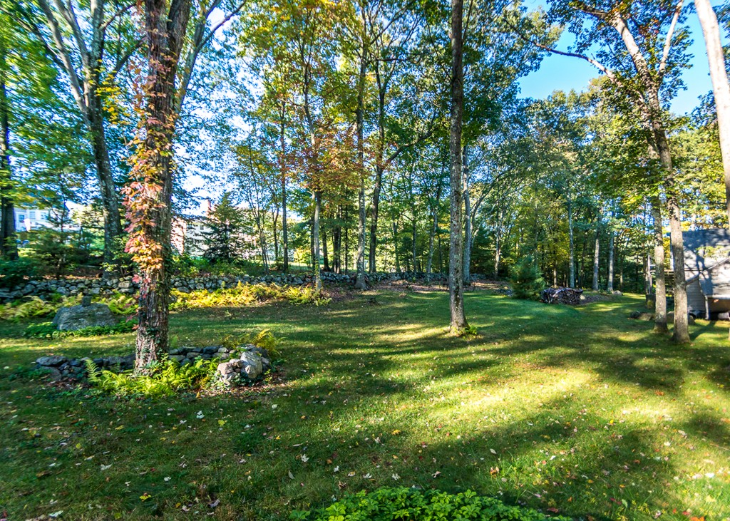 93 Old County Road Lincoln, MA 01773 - Photo 29 of 30 a view of a trees with a yard