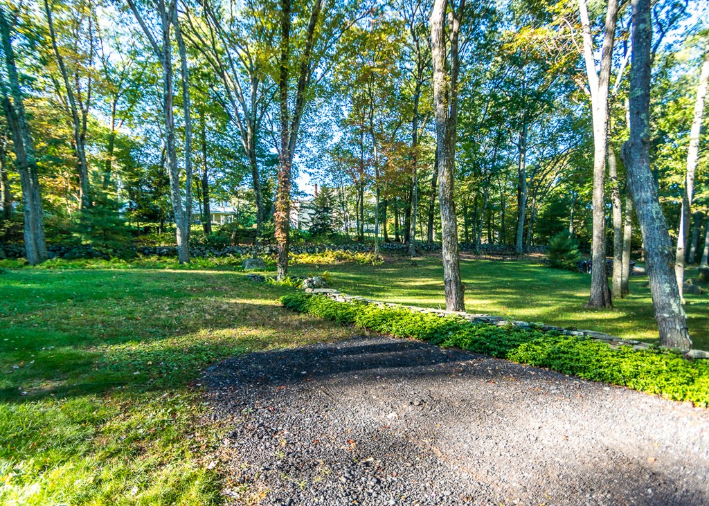 93 Old County Road Lincoln, MA 01773 - Photo 30 of 30 a view of a park with large trees