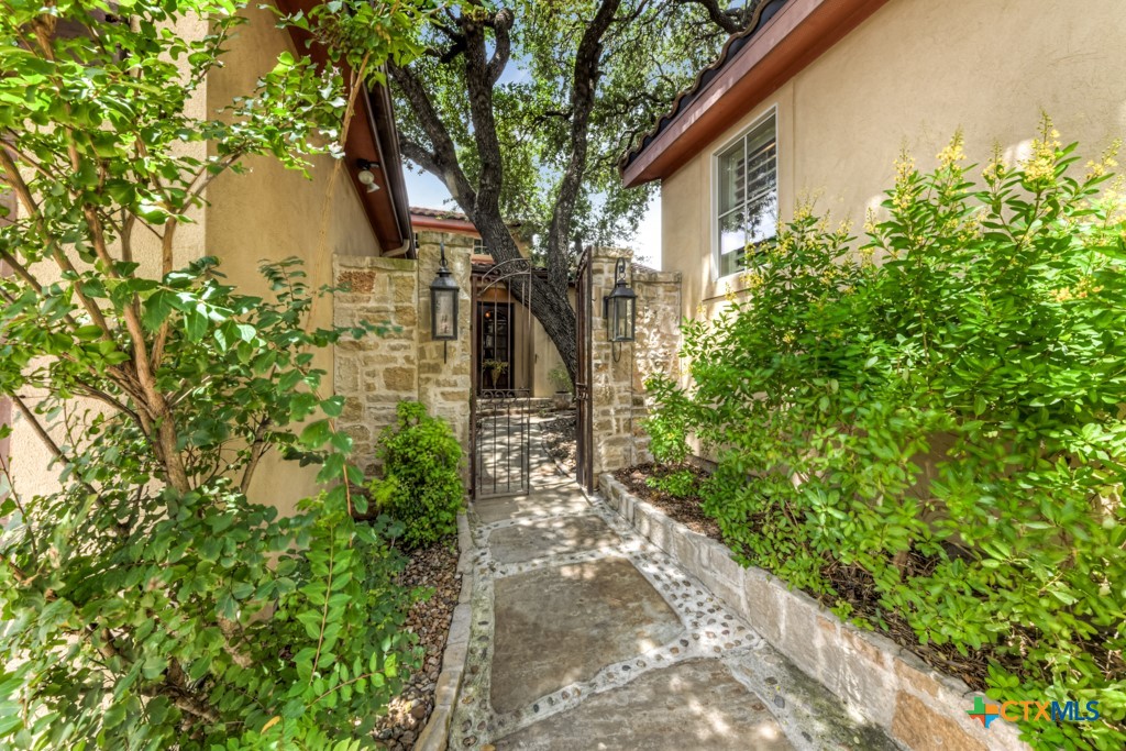 a view of a yard with plants and trees