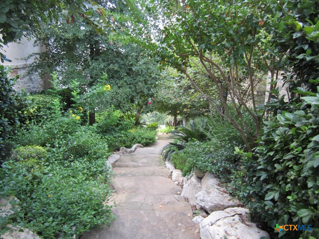 1108 Tuscan Ridge Drive New Braunfels, TX 78130 - Photo 43 of 47 a picture of trees