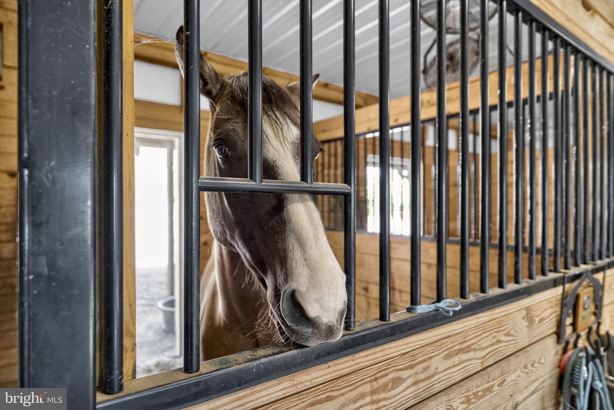 11194 Homeland Road Rixeyville, VA 22737 - Photo 144 of 150