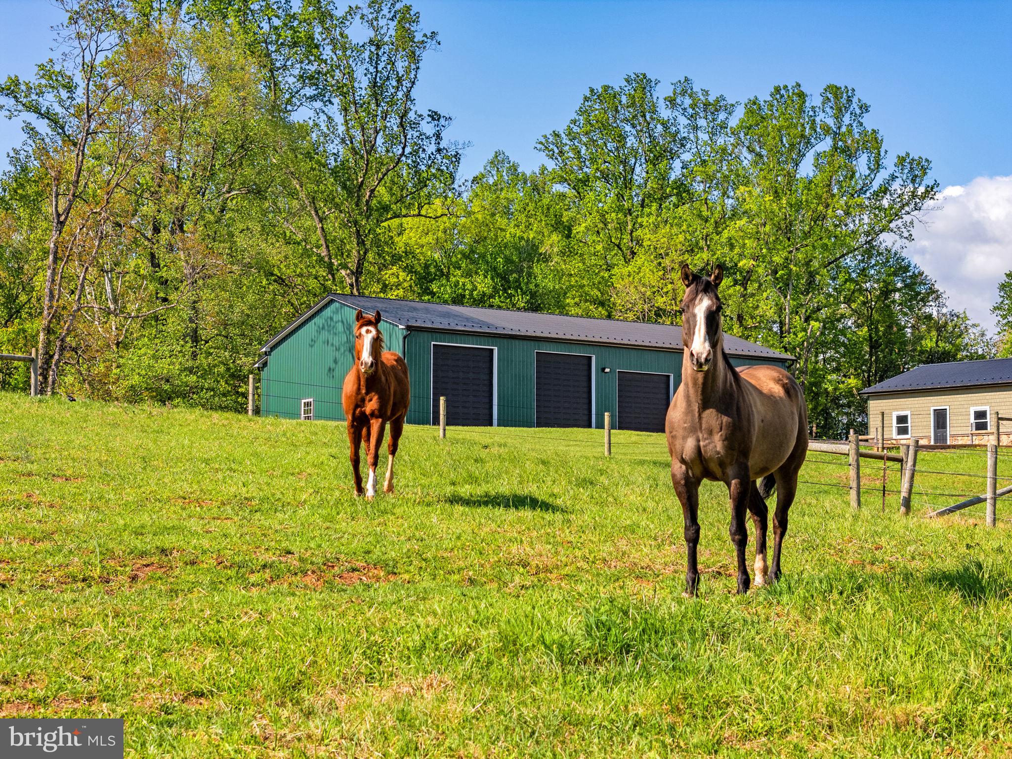 11194 Homeland Road Rixeyville, VA 22737 - Photo 148 of 150