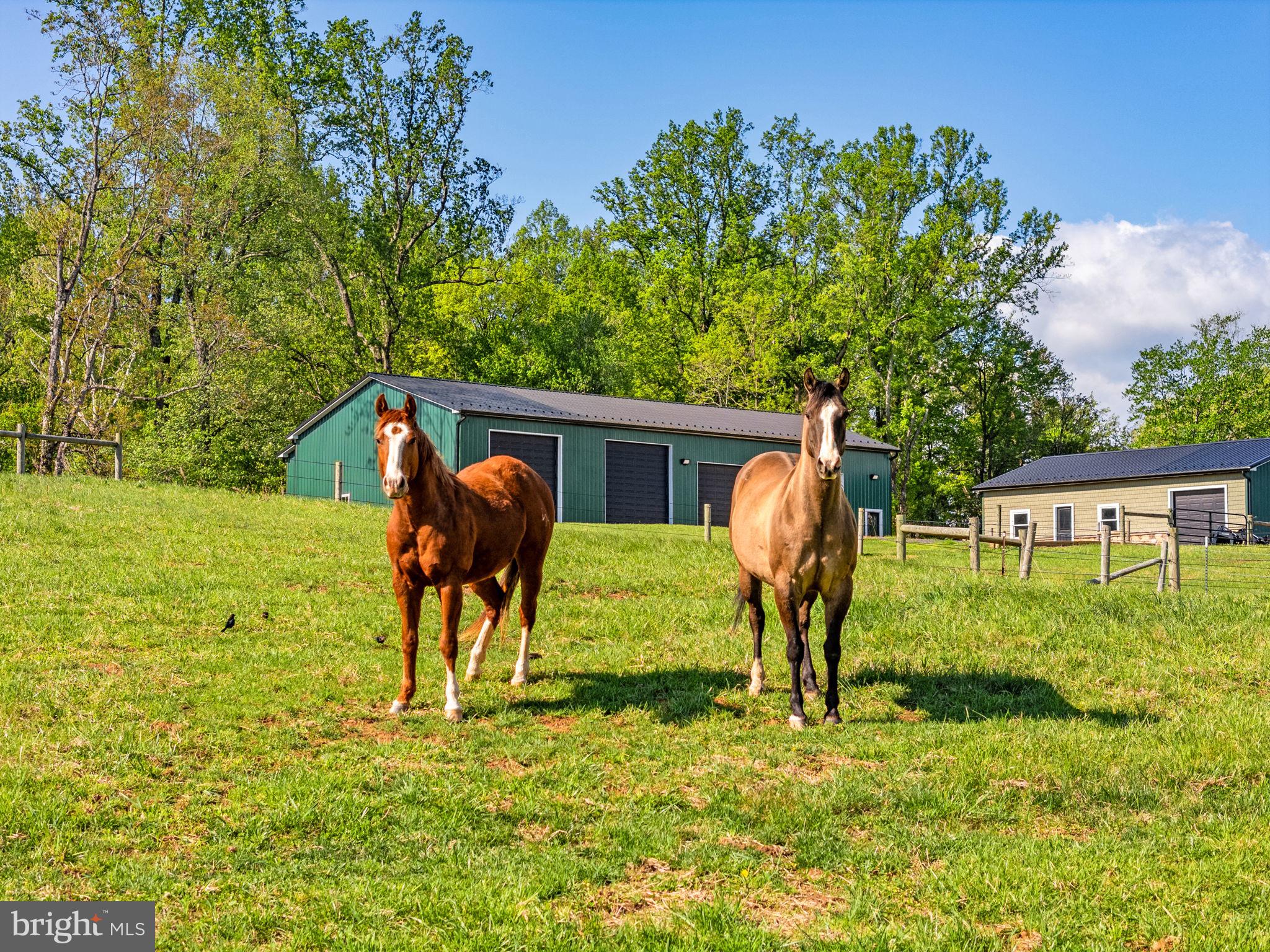11194 Homeland Road Rixeyville, VA 22737 - Photo 149 of 150