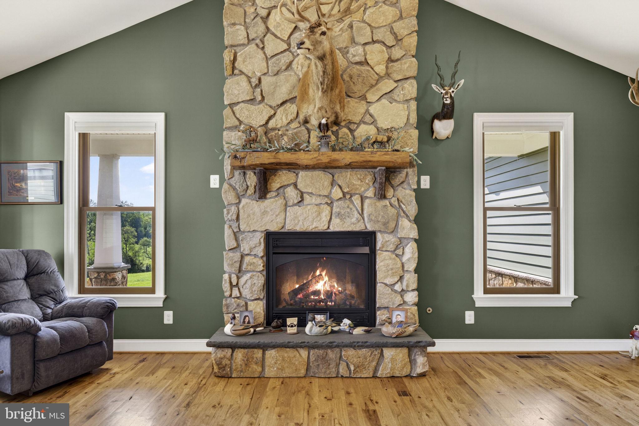 11194 Homeland Road Rixeyville, VA 22737 - Photo 21 of 150
