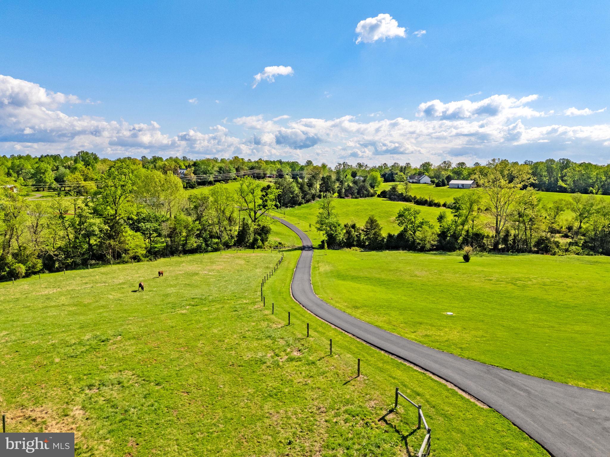 11194 Homeland Road Rixeyville, VA 22737 - Photo 4 of 150