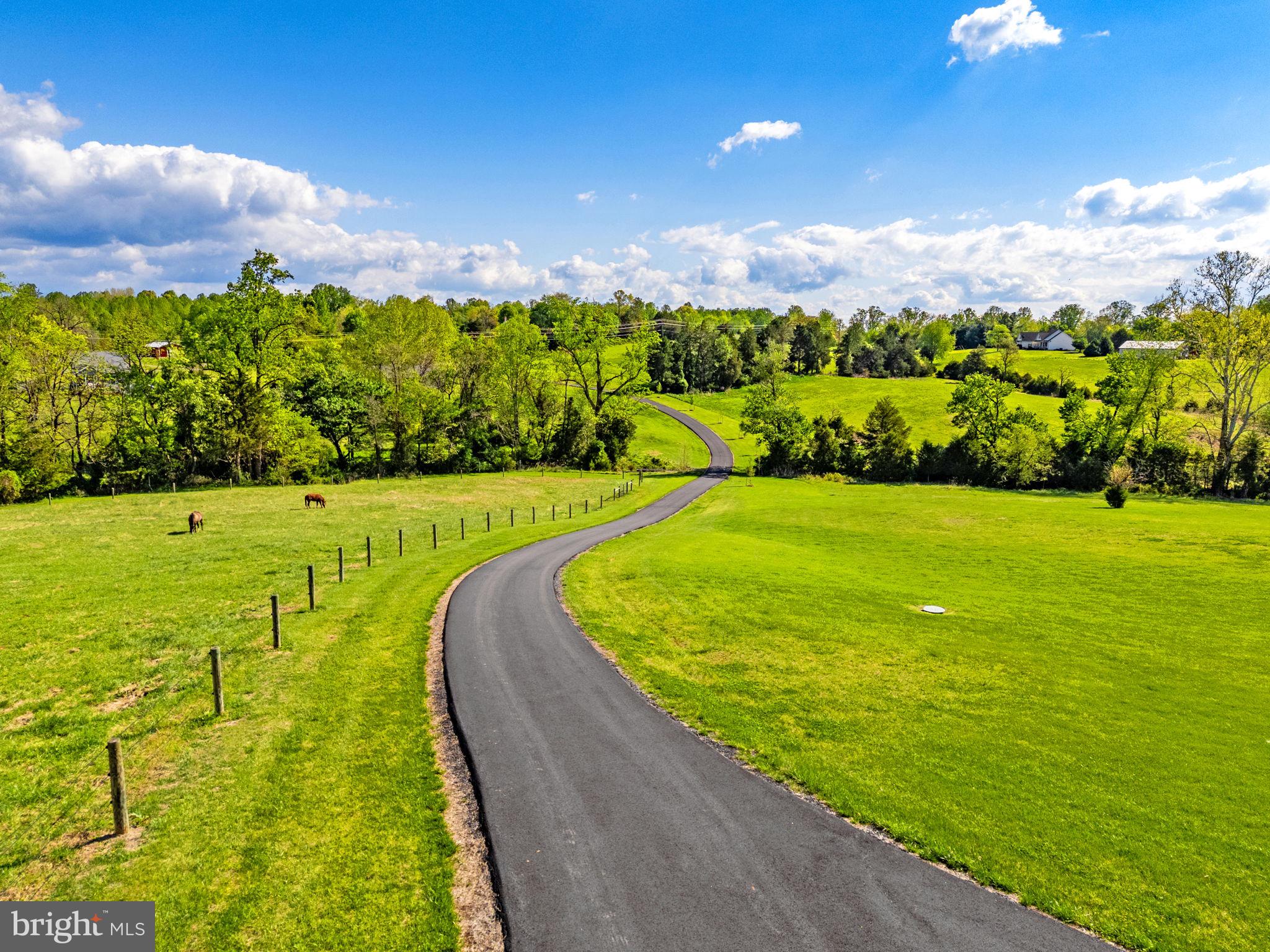 11194 Homeland Road Rixeyville, VA 22737 - Photo 5 of 150