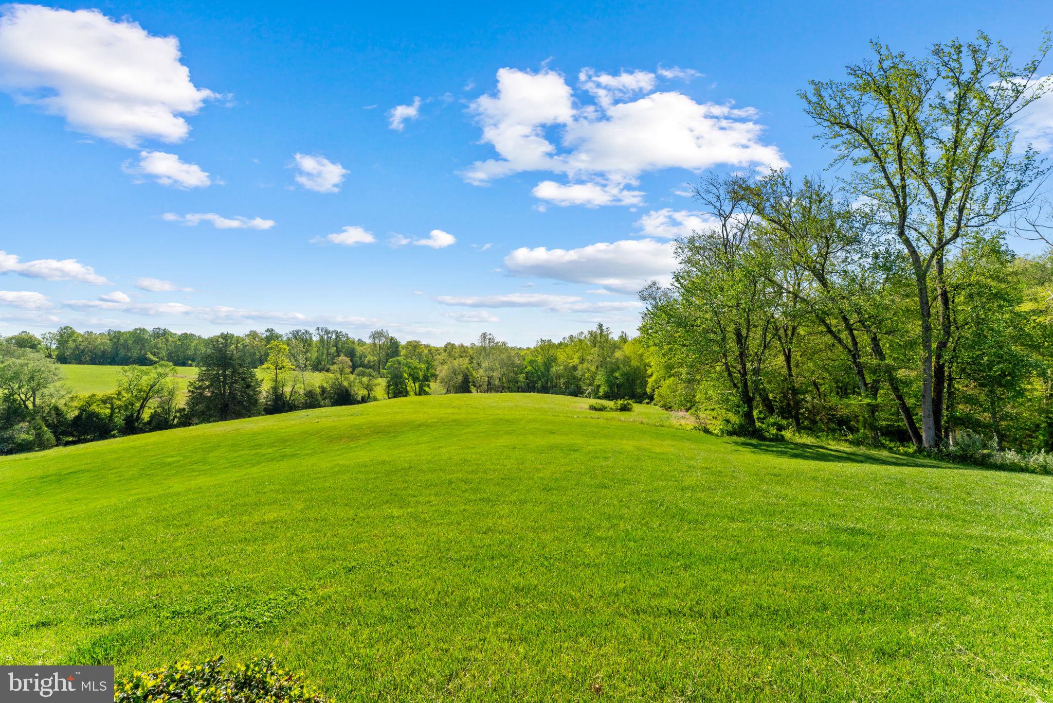 11194 Homeland Road Rixeyville, VA 22737 - Photo 99 of 150