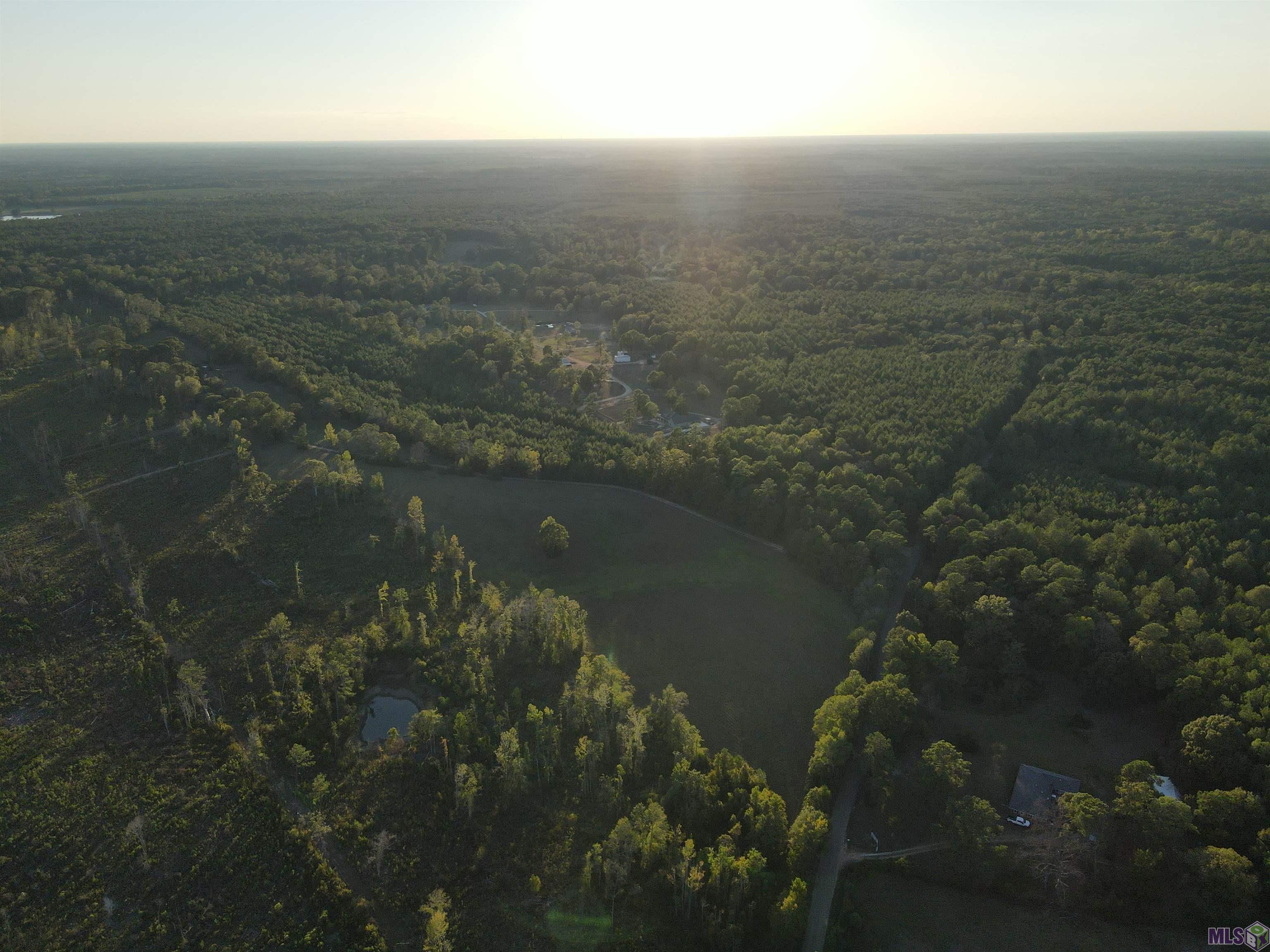 Tbd Gilead Road Clinton, LA 70722 - Photo 11 of 14