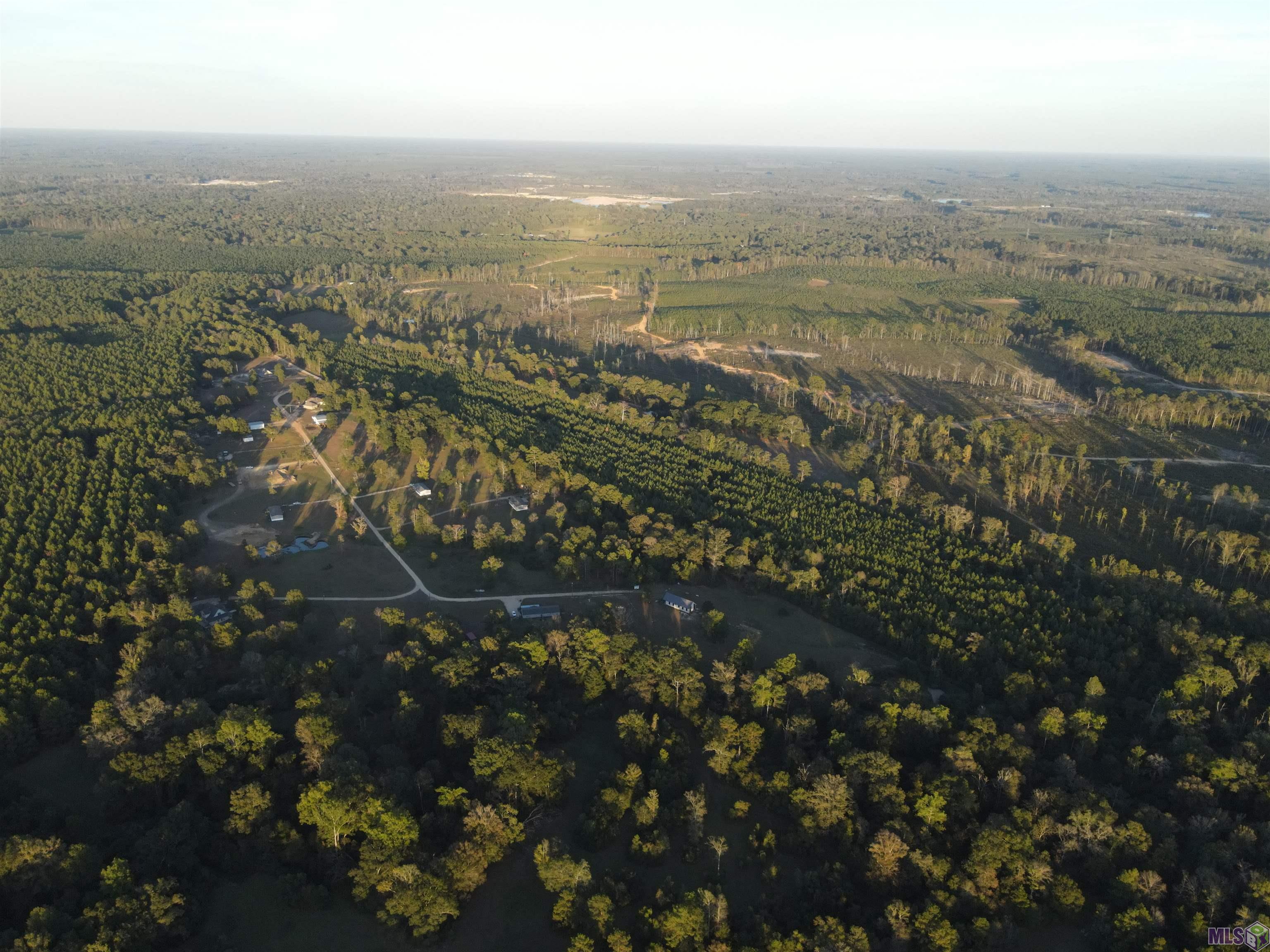 Tbd Gilead Road Clinton, LA 70722 - Photo 12 of 14