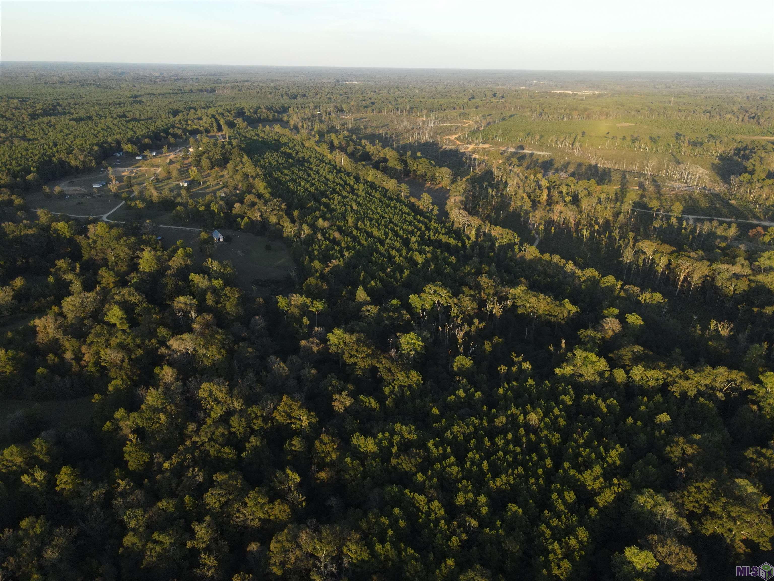Tbd Gilead Road Clinton, LA 70722 - Photo 13 of 14