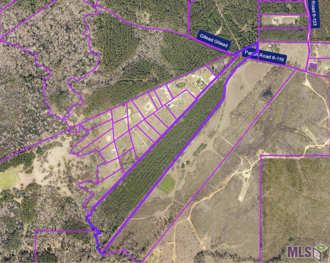 Tbd Gilead Road Clinton, LA 70722 - Photo 14 of 14