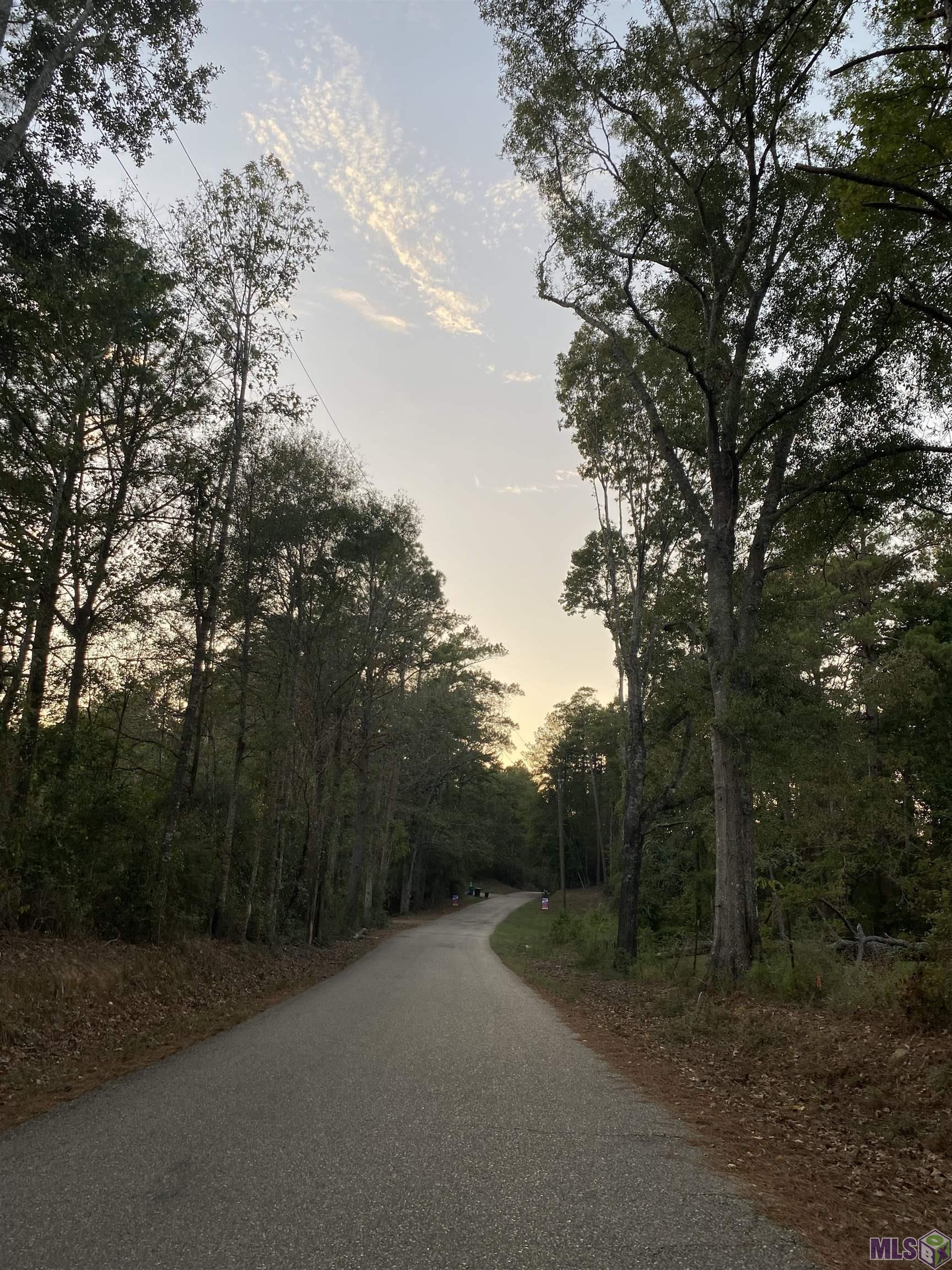 Tbd Gilead Road Clinton, LA 70722 - Photo 2 of 14