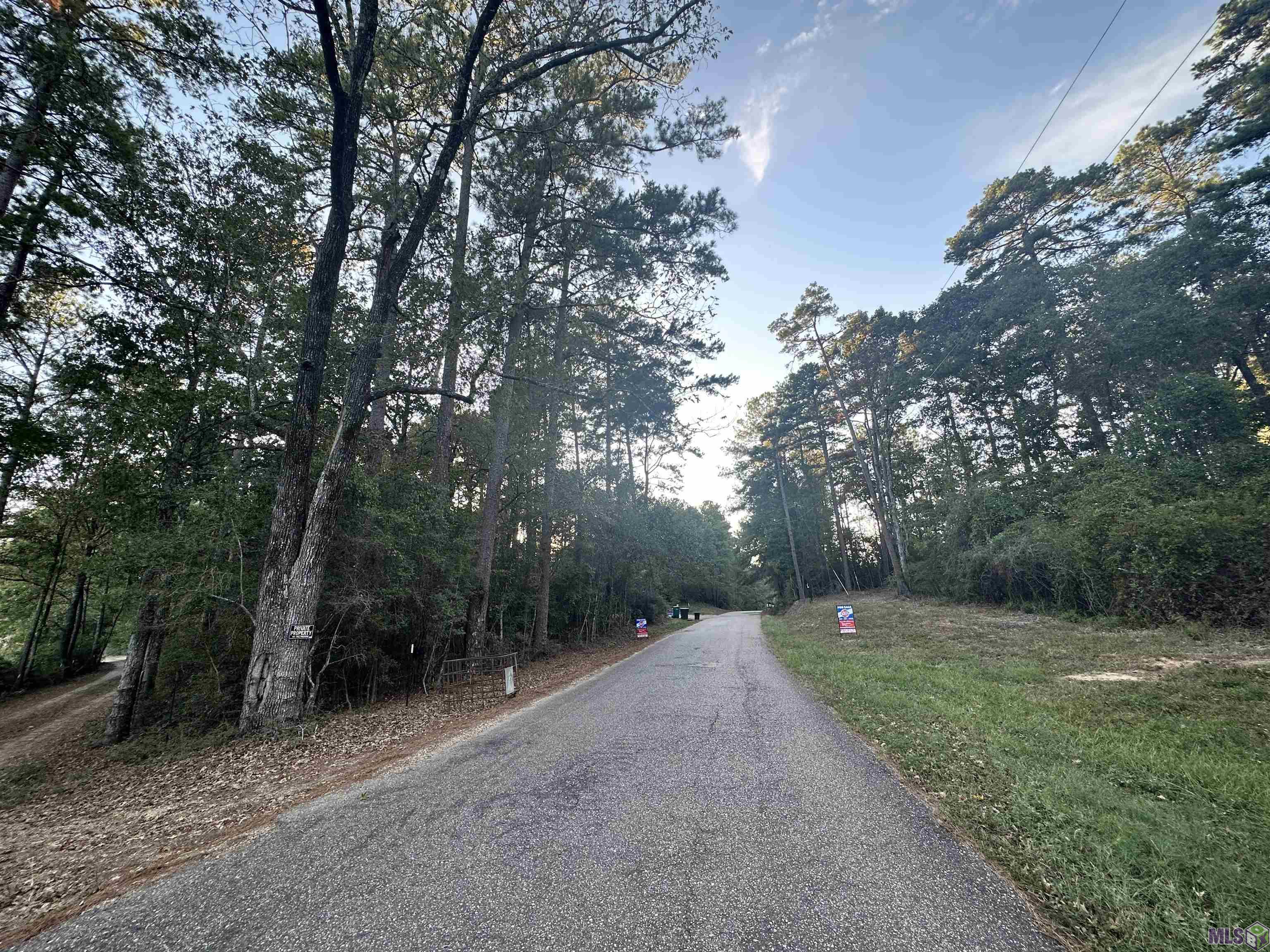 Tbd Gilead Road Clinton, LA 70722 - Photo 3 of 14