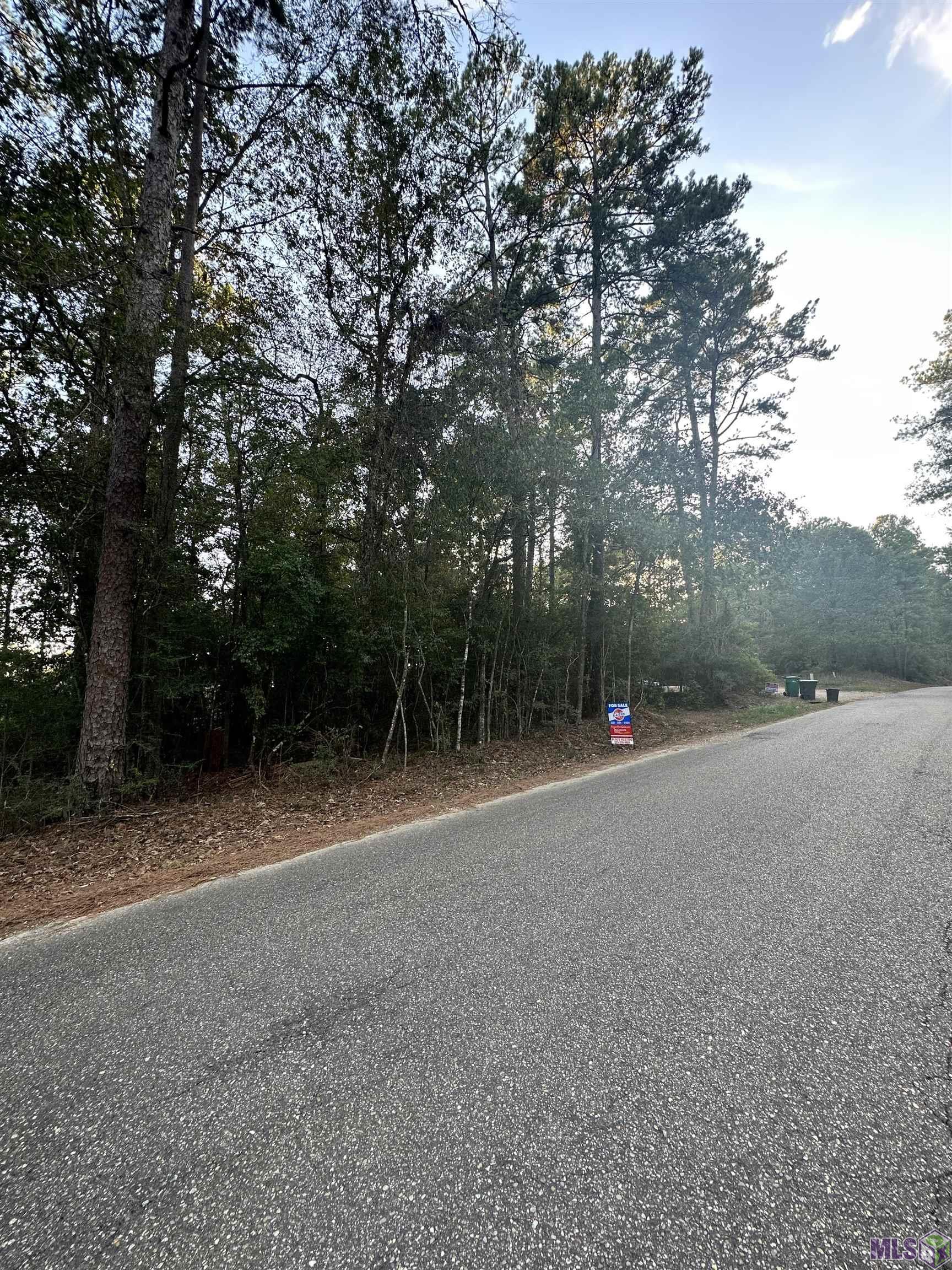 Tbd Gilead Road Clinton, LA 70722 - Photo 4 of 14