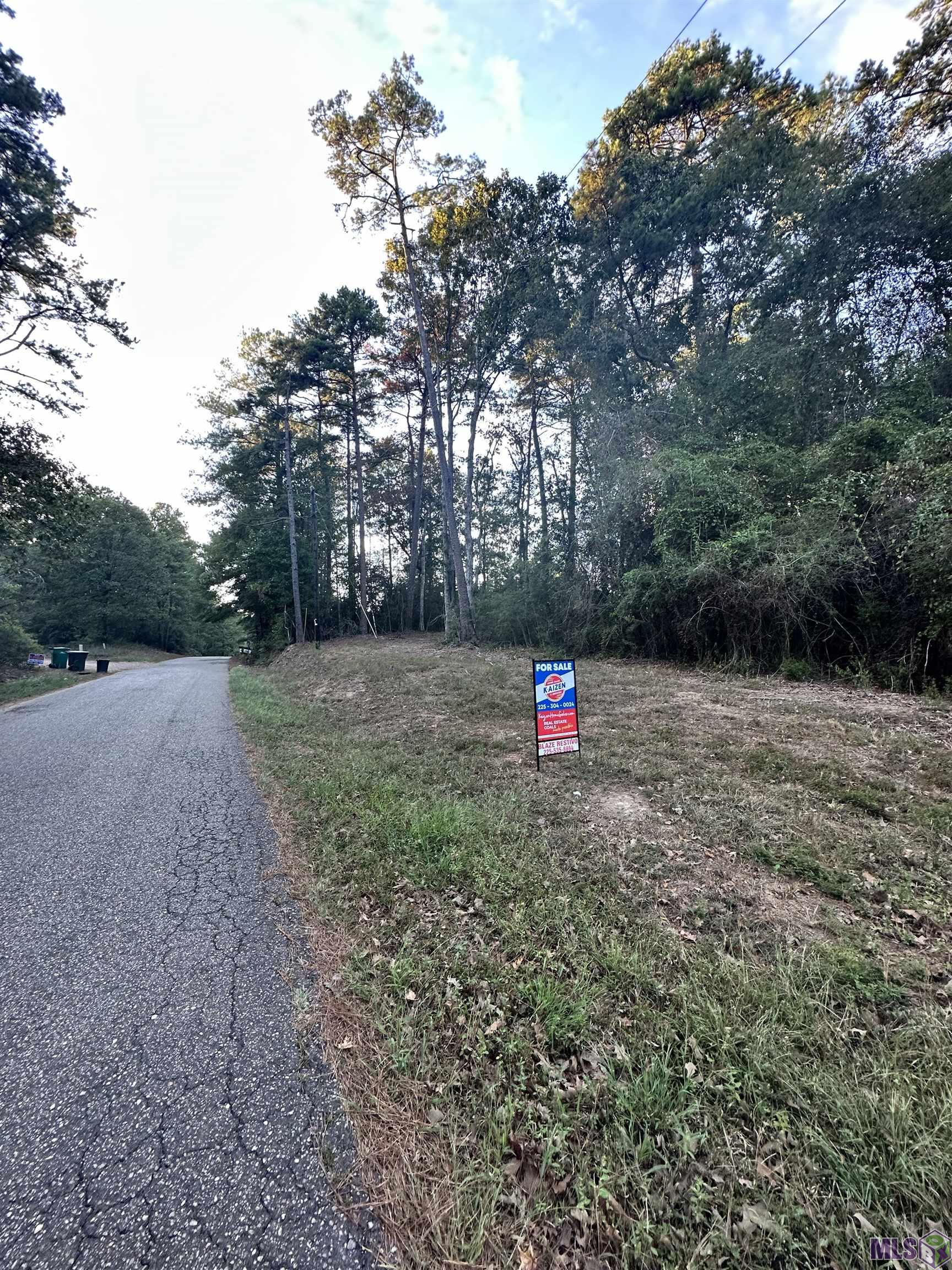 Tbd Gilead Road Clinton, LA 70722 - Photo 5 of 14