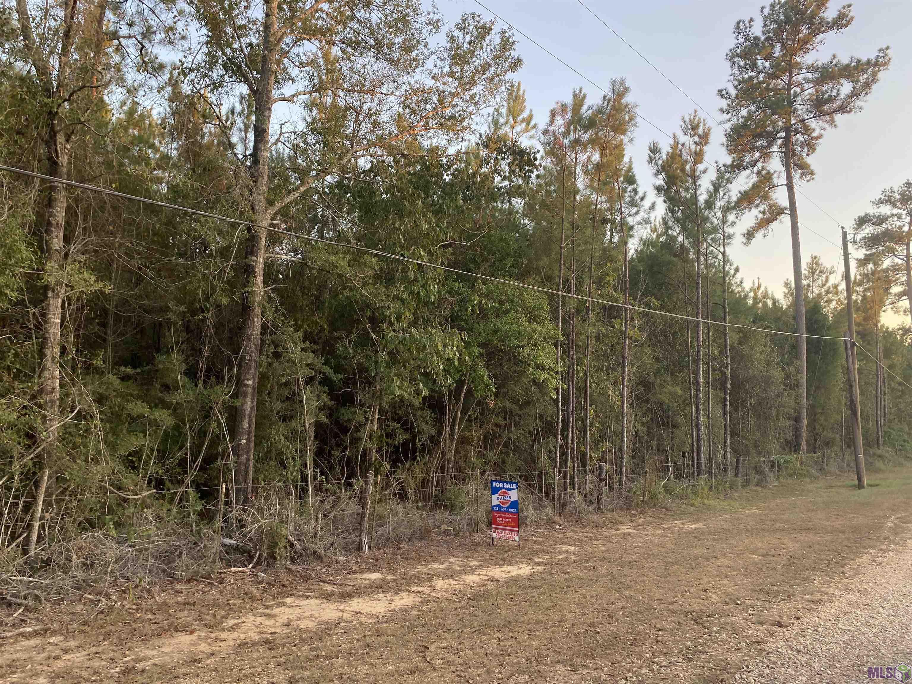 Tbd Gilead Road Clinton, LA 70722 - Photo 6 of 14