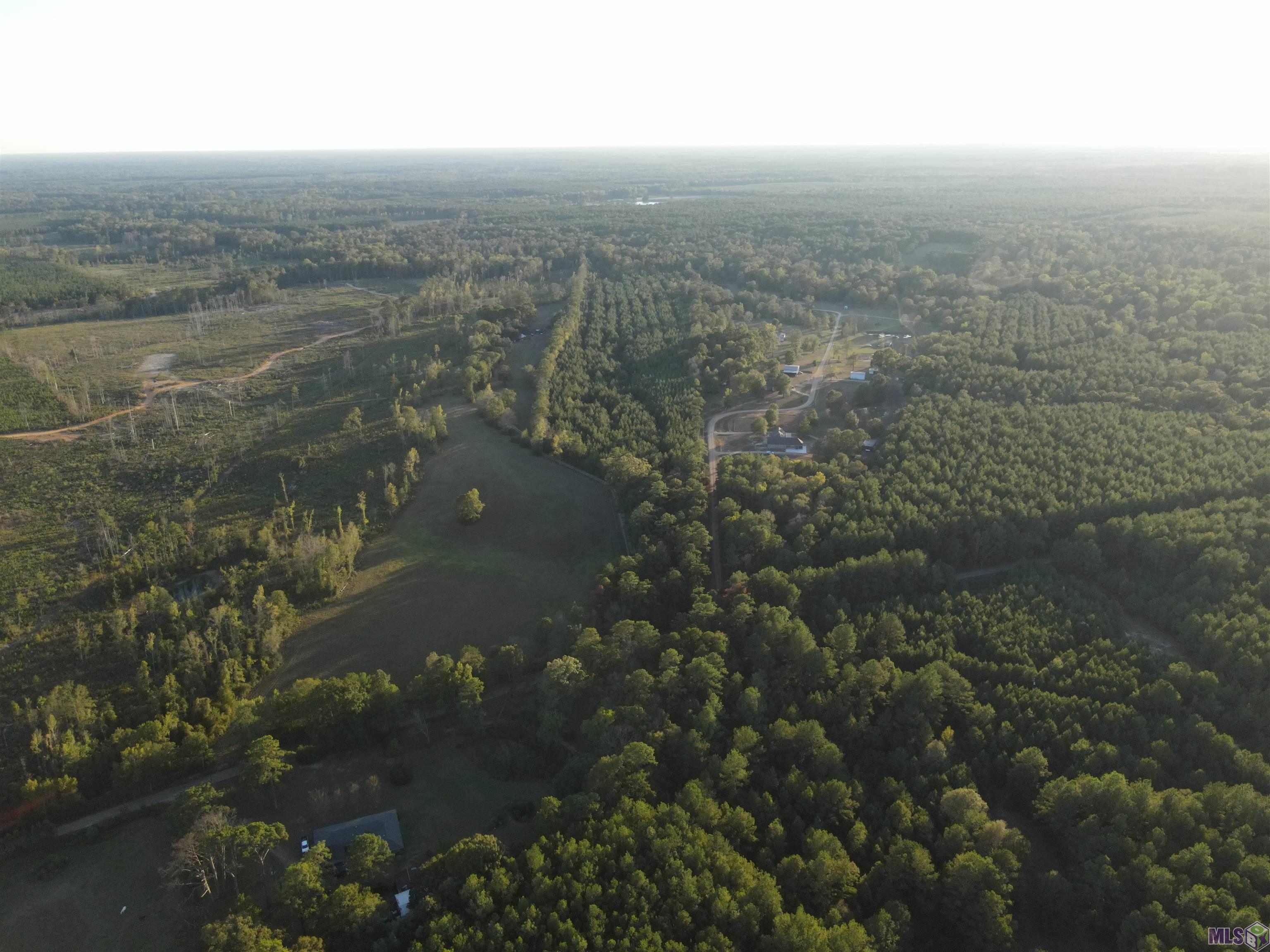 Tbd Gilead Road Clinton, LA 70722 - Photo 7 of 14