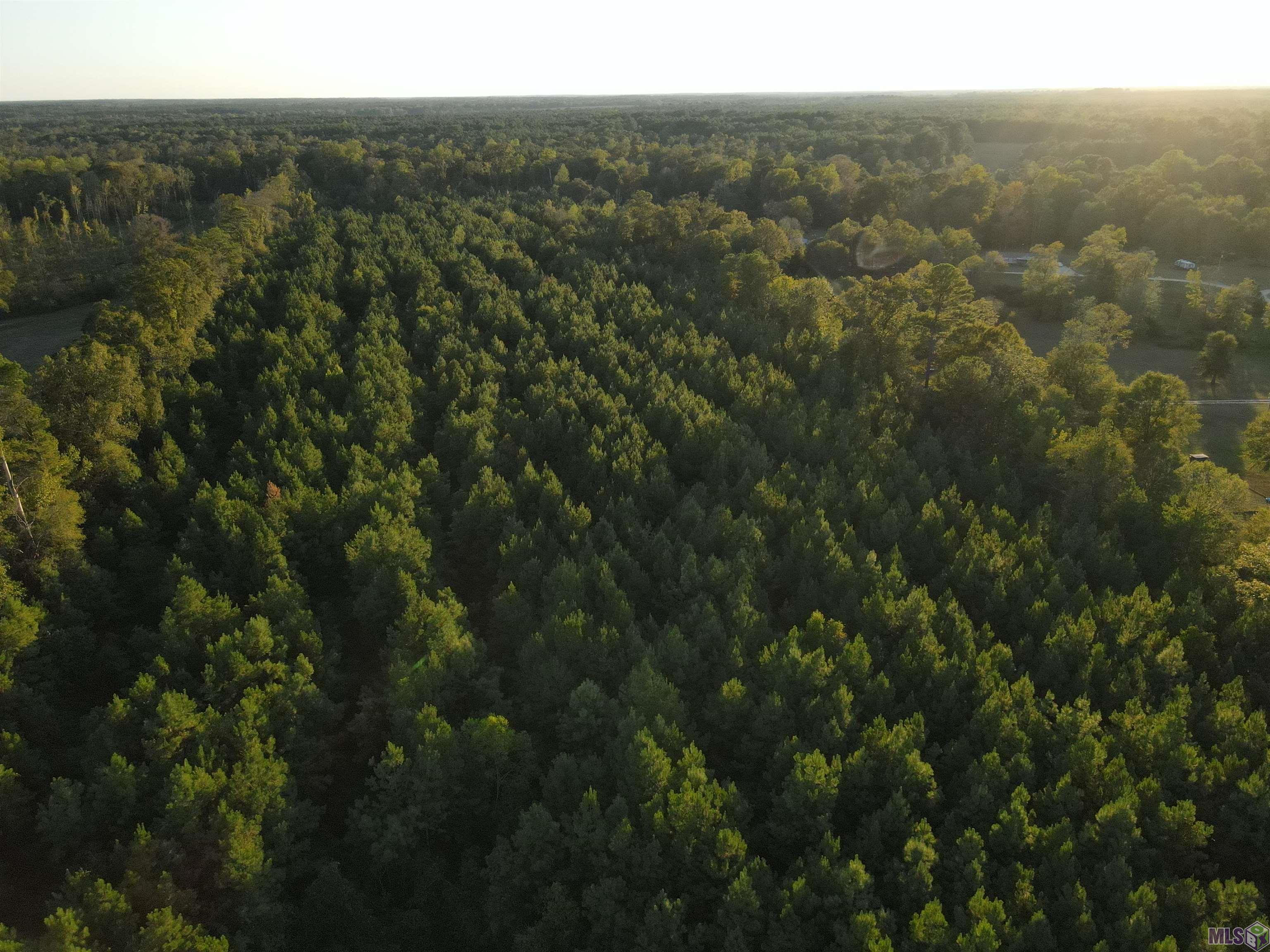 Tbd Gilead Road Clinton, LA 70722 - Photo 8 of 14