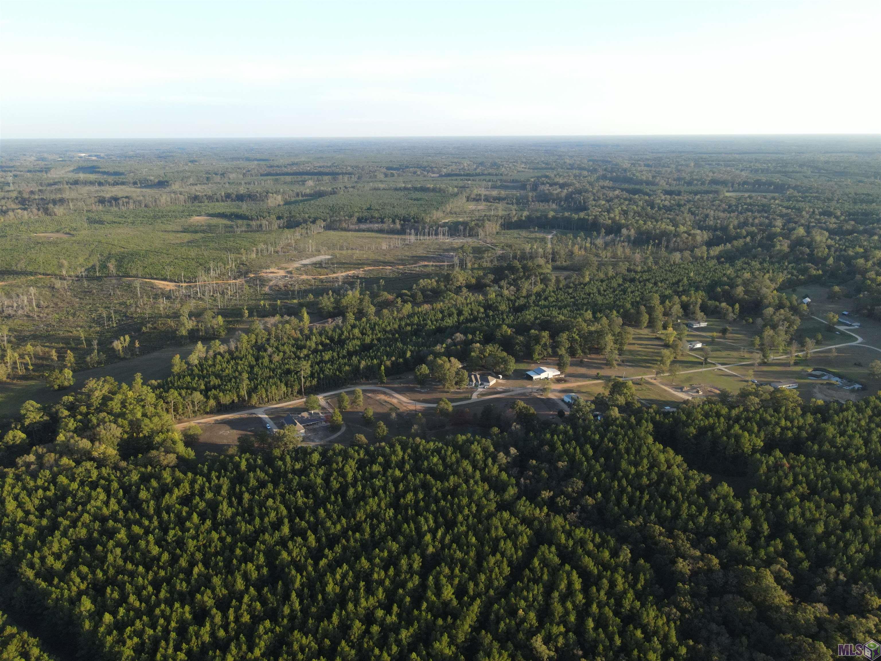 Tbd Gilead Road Clinton, LA 70722 - Photo 9 of 14