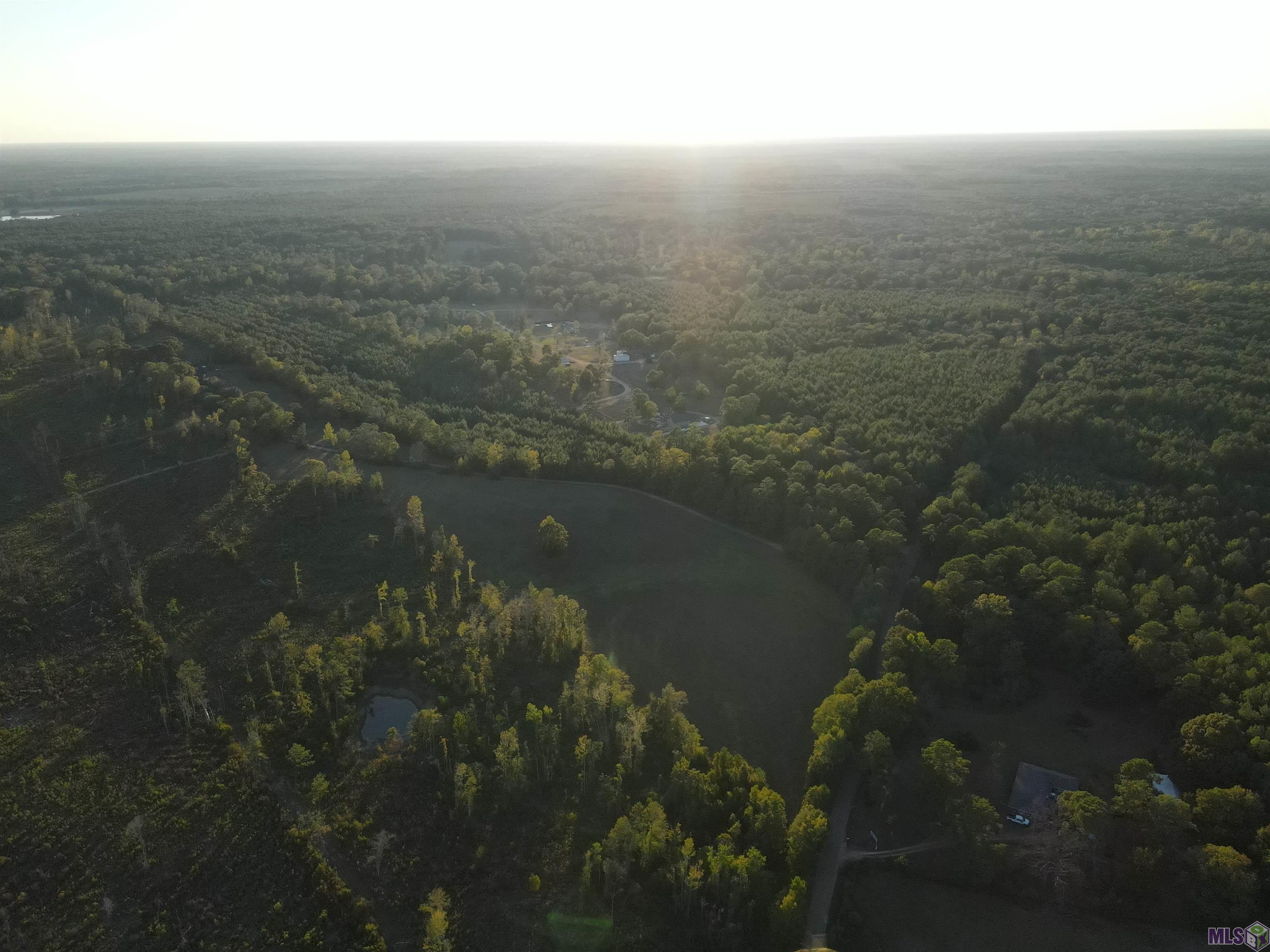 Tbd Gilead Road Clinton, LA 70722 - Photo 10 of 14