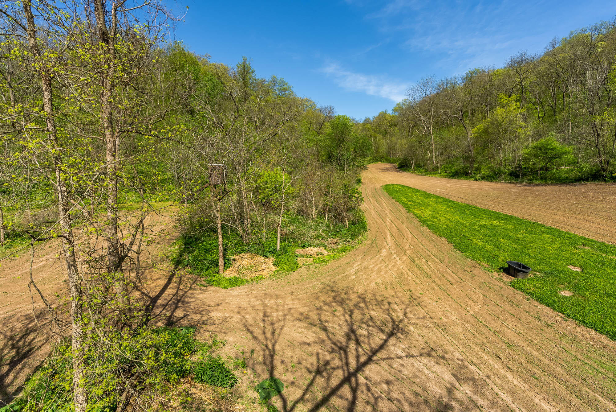 15999 Biba Road Muscoda, WI 53573 - Photo 72 of 103 Grant-County-WI-160-Acres-Land-For-Sale-