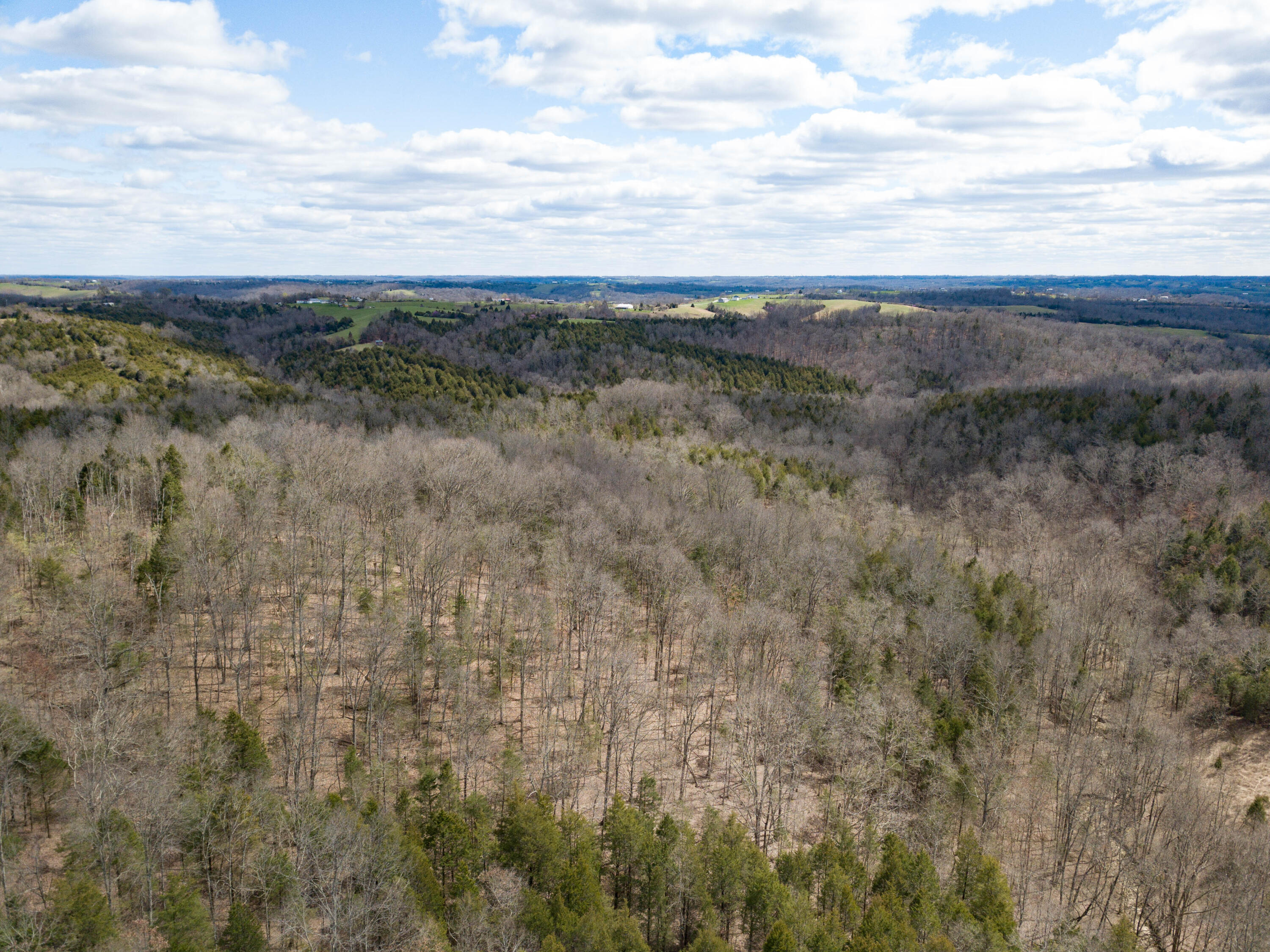2618 Parina Road Brooksville, KY 41004 - Photo 17 of 23 Gallery Image 17