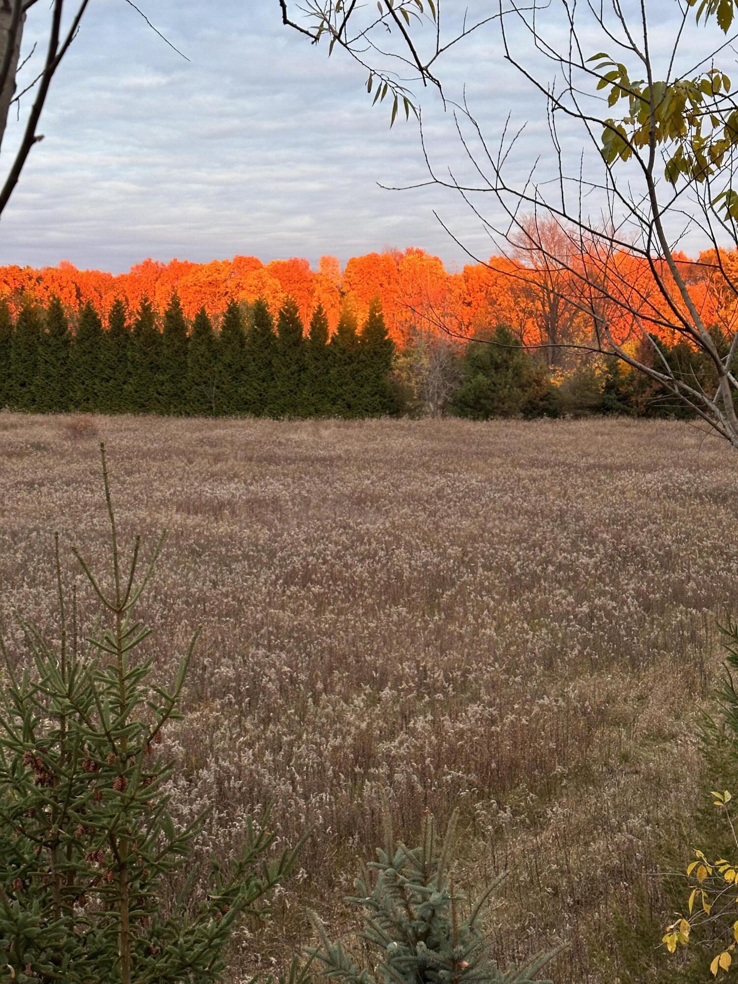 2260 North Gibbs Road Albion, MI 49224 - Photo 1 of 14 IMG_6042