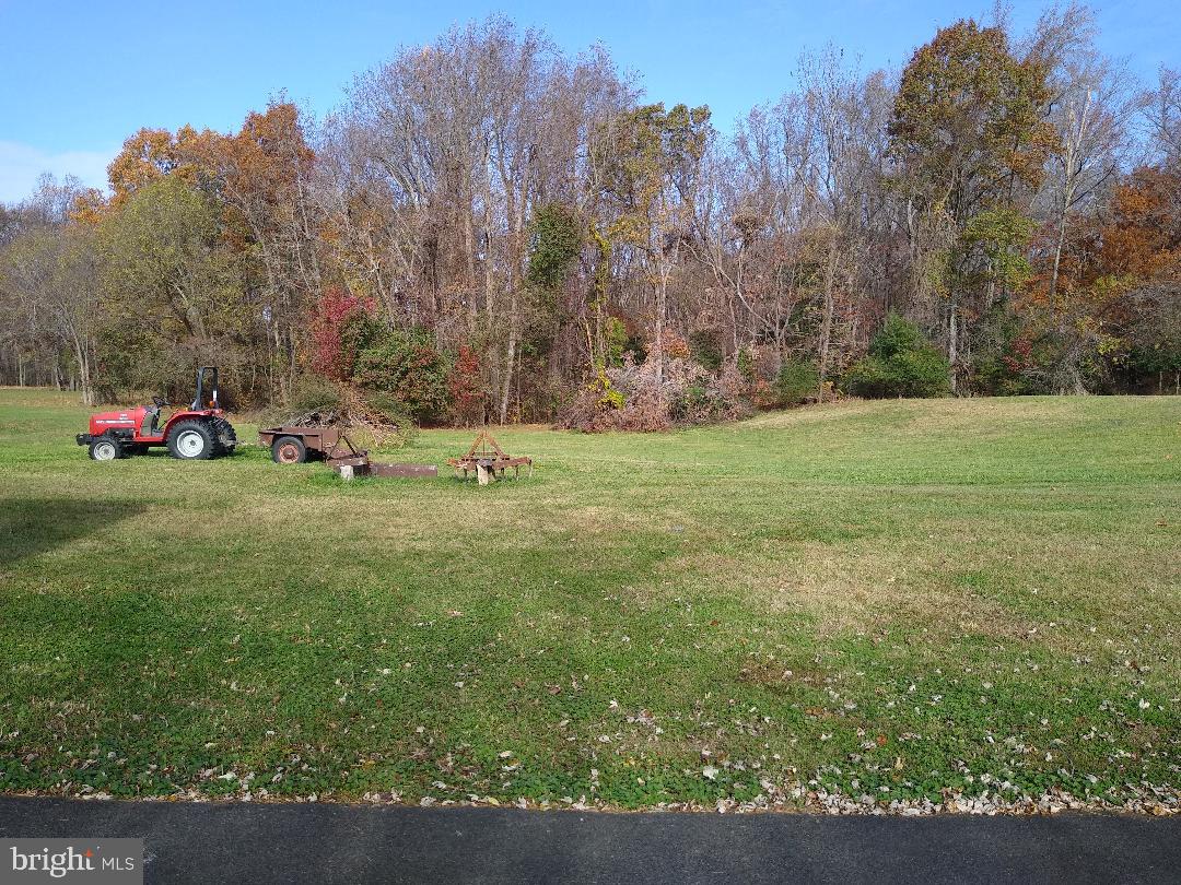 9545 Dubois Road Charlotte Hall, MD 20622 - Photo 13 of 32 Back field