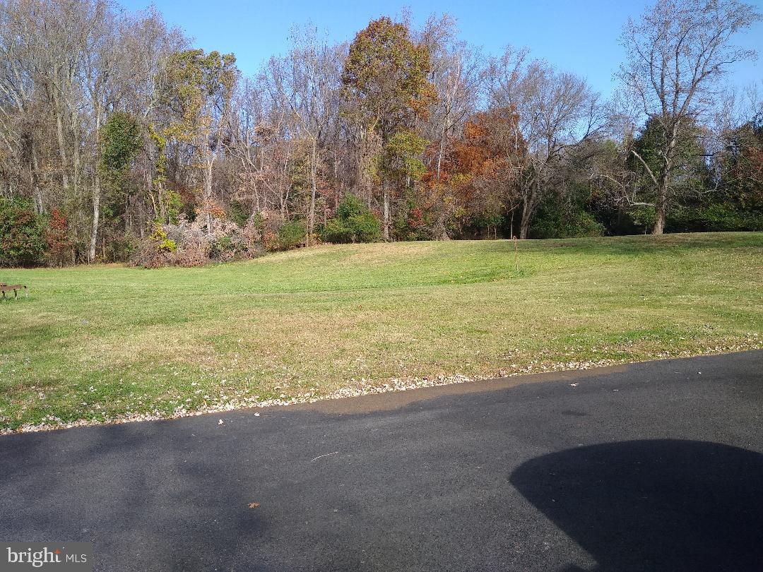 9545 Dubois Road Charlotte Hall, MD 20622 - Photo 18 of 32 Back field