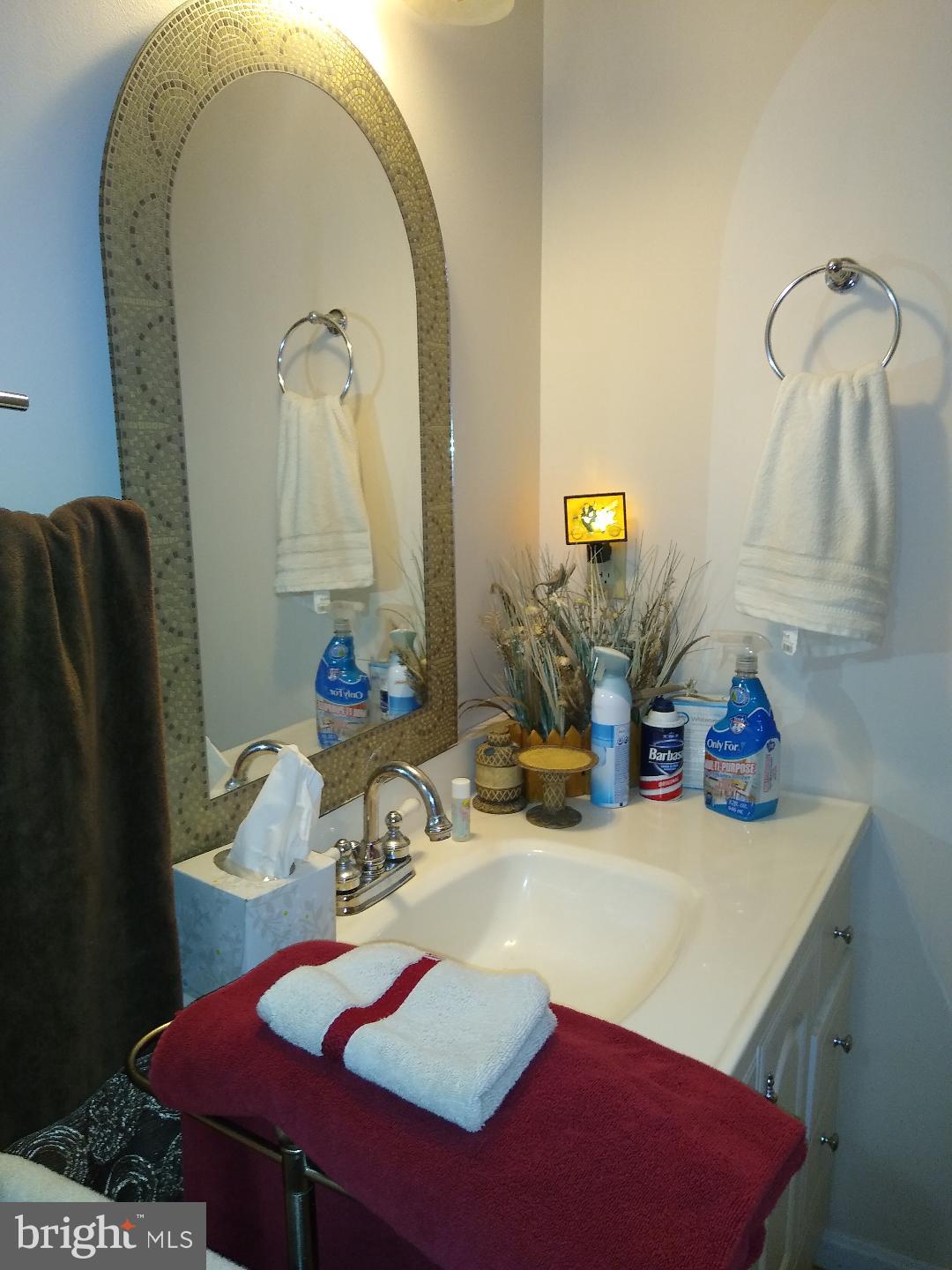 9545 Dubois Road Charlotte Hall, MD 20622 - Photo 24 of 32 Main Bathroom