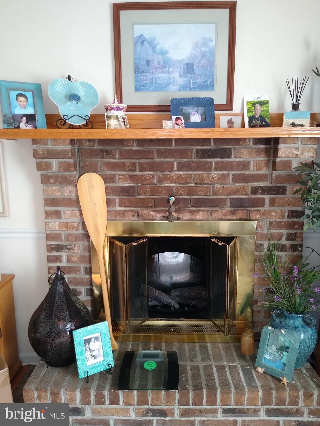 9545 Dubois Road Charlotte Hall, MD 20622 - Photo 7 of 32 Fire place and Mantel