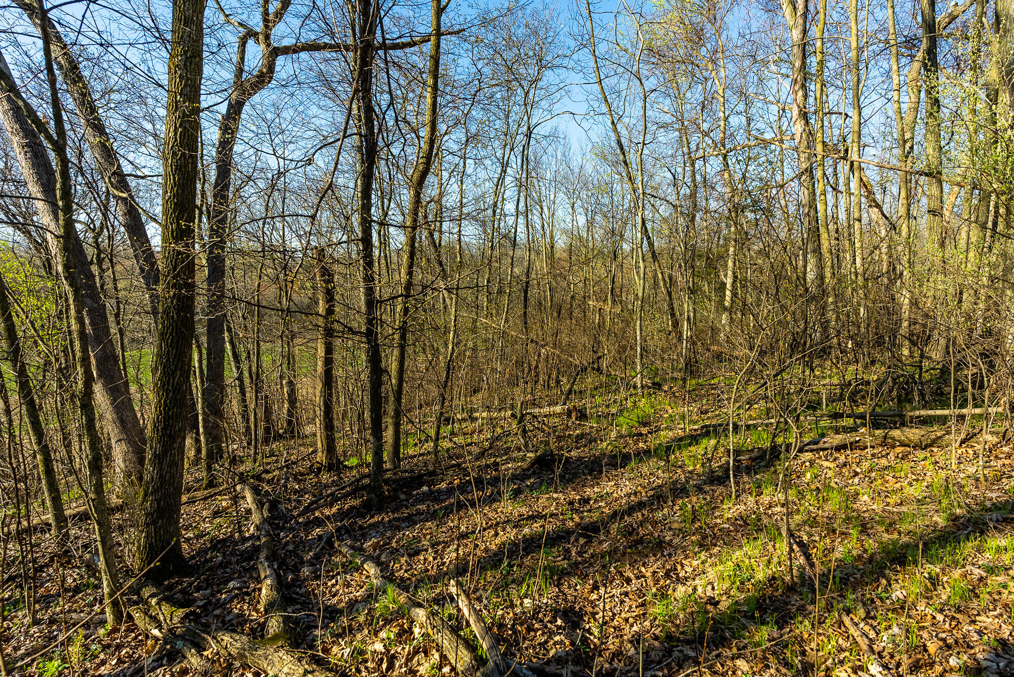 Lt2 Eli Valley Road Hillpoint, WI 53937 - Photo 40 of 47 Sauk-County-WI-53-Acres-Land-For-Sale-40