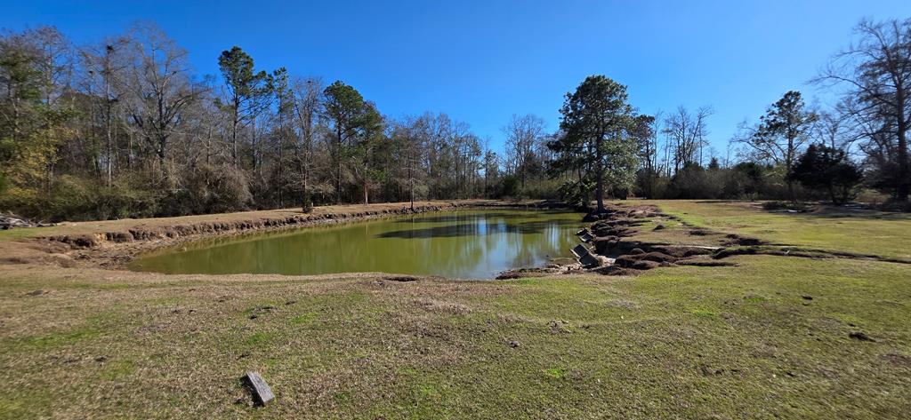 12.7-acres Nobles Road Dothan, AL 36301 - Photo 30 of 41