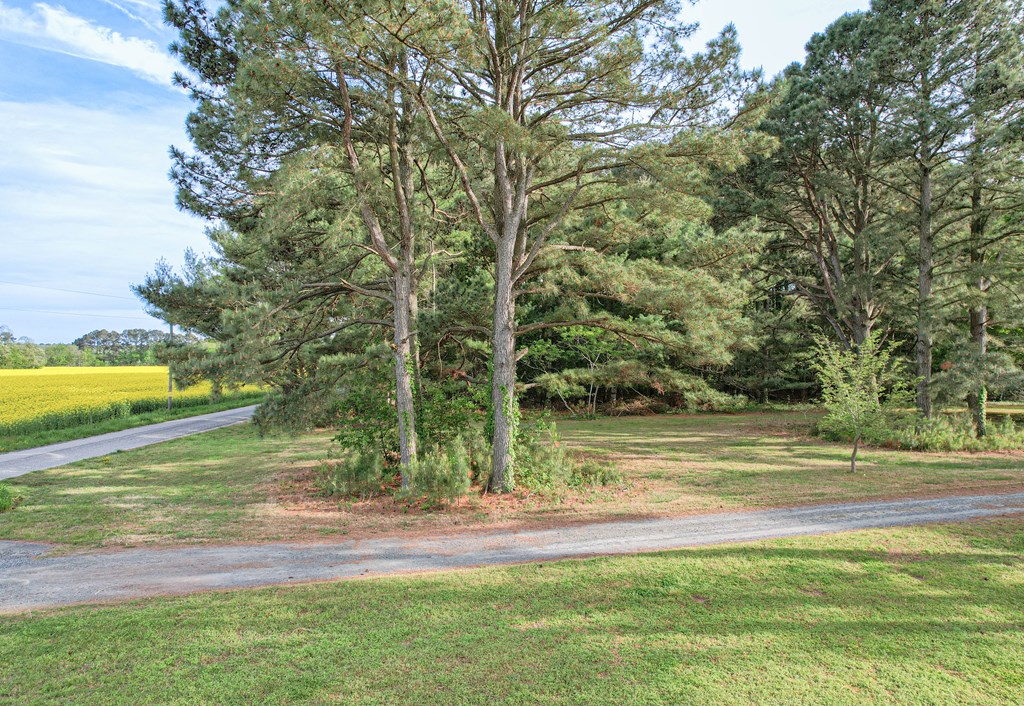 Lot E Sparrow Point Road, Unit E Machipongo, VA 23405 - Photo 2 of 8