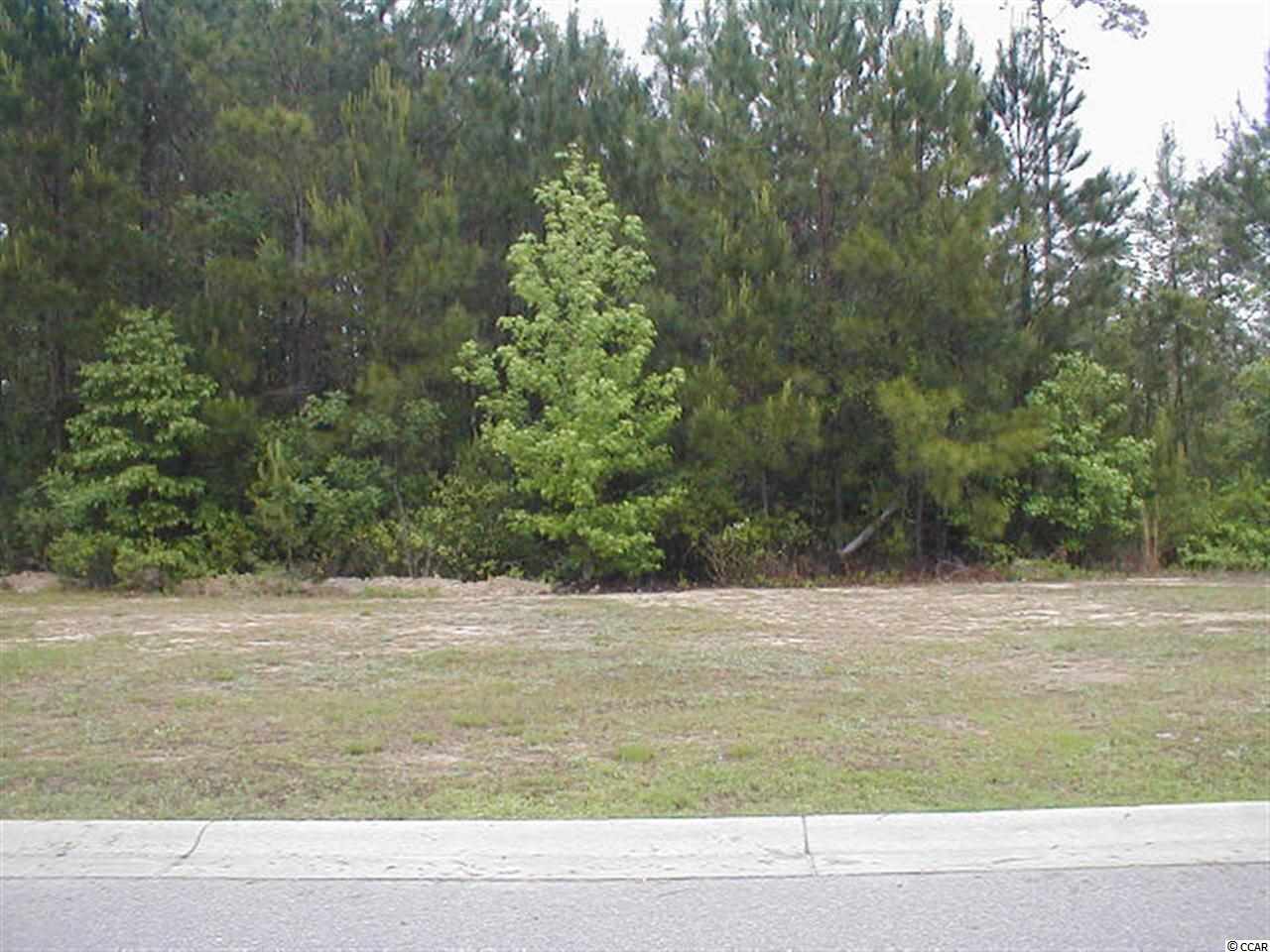 Lot 50 Low Country Loop Murrells Inlet, SC 29576 - Photo 1 of 5