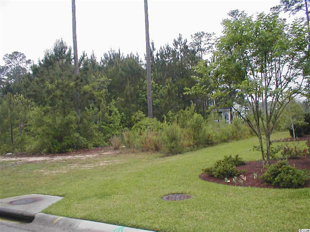 Lot 50 Low Country Loop Murrells Inlet, SC 29576 - Photo 3 of 5