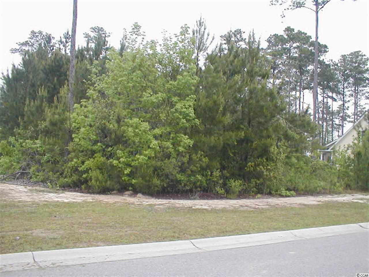 Lot 50 Low Country Loop Murrells Inlet, SC 29576 - Photo 4 of 5