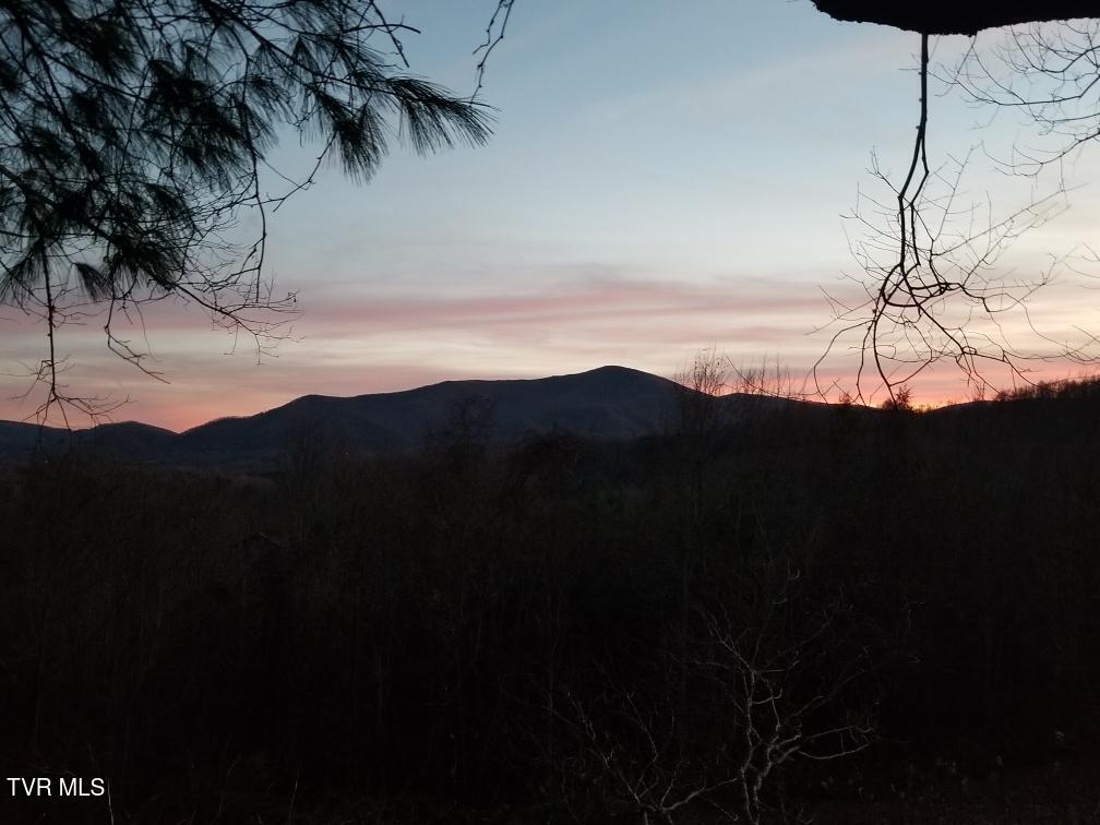 Resized_20241117_173802