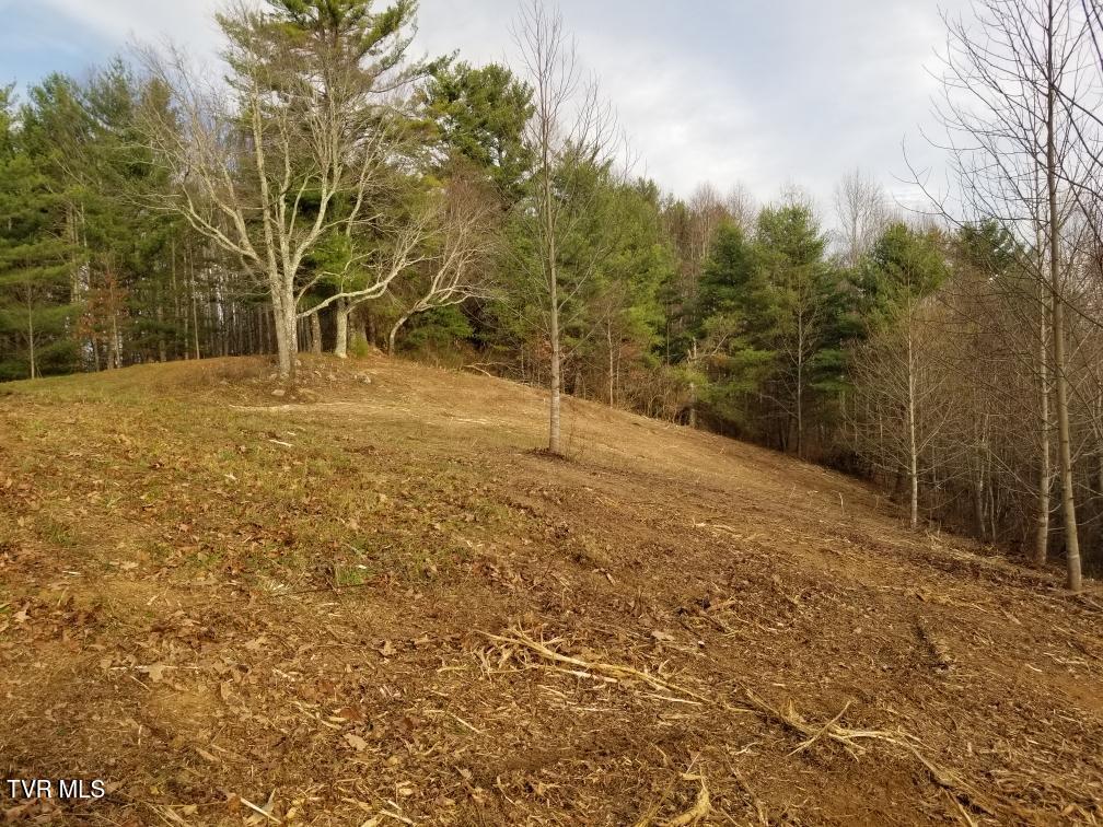 Tbd Bear Branch Road Roan Mountain, TN 37687 - Photo 11 of 15 Resized_20241118_153721