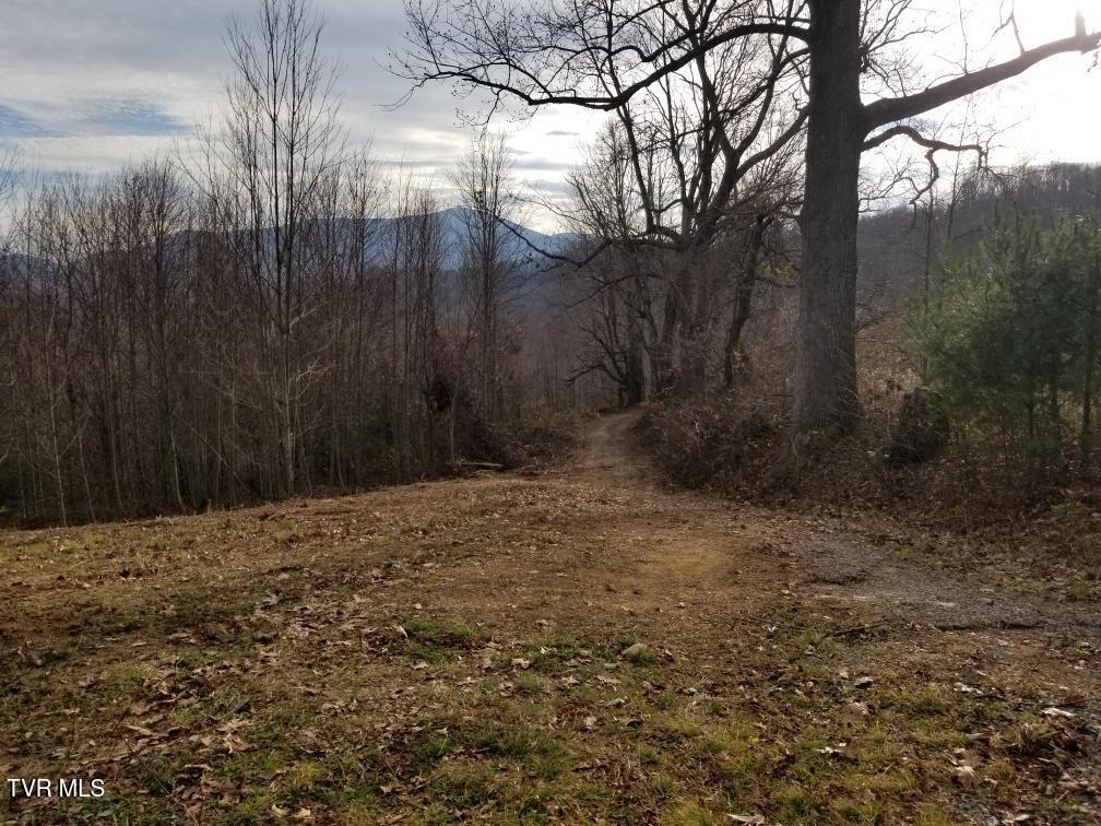 Tbd Bear Branch Road Roan Mountain, TN 37687 - Photo 12 of 15 Resized_20241118_153702